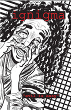 Load image into Gallery viewer, ignigma Sale e-book Bundle: For a limited time get 12 ebooks for only $30 (DIGITAL ONLY)